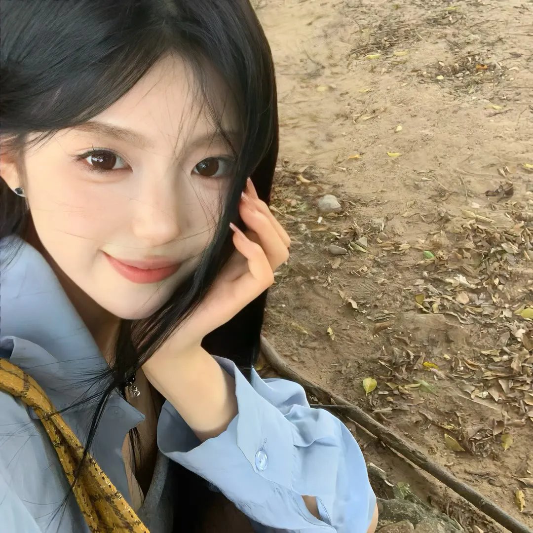 森林泰山